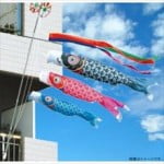 安住紳一郎 憧れの鯉のぼりを語る