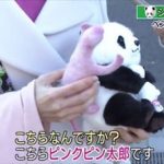 安住紳一郎 上野パンダ・シャンシャン公開初日のメディア対策を語る