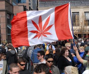 モーリー・ロバートソン　カナダの娯楽目的の大麻使用解禁を語る