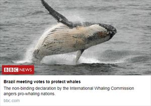 モーリー・ロバートソン　国際社会の反捕鯨運動と日本を語る