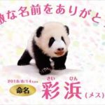 安住紳一郎と中澤有美子 和歌山パンダ「彩浜」命名予想の結果を語る