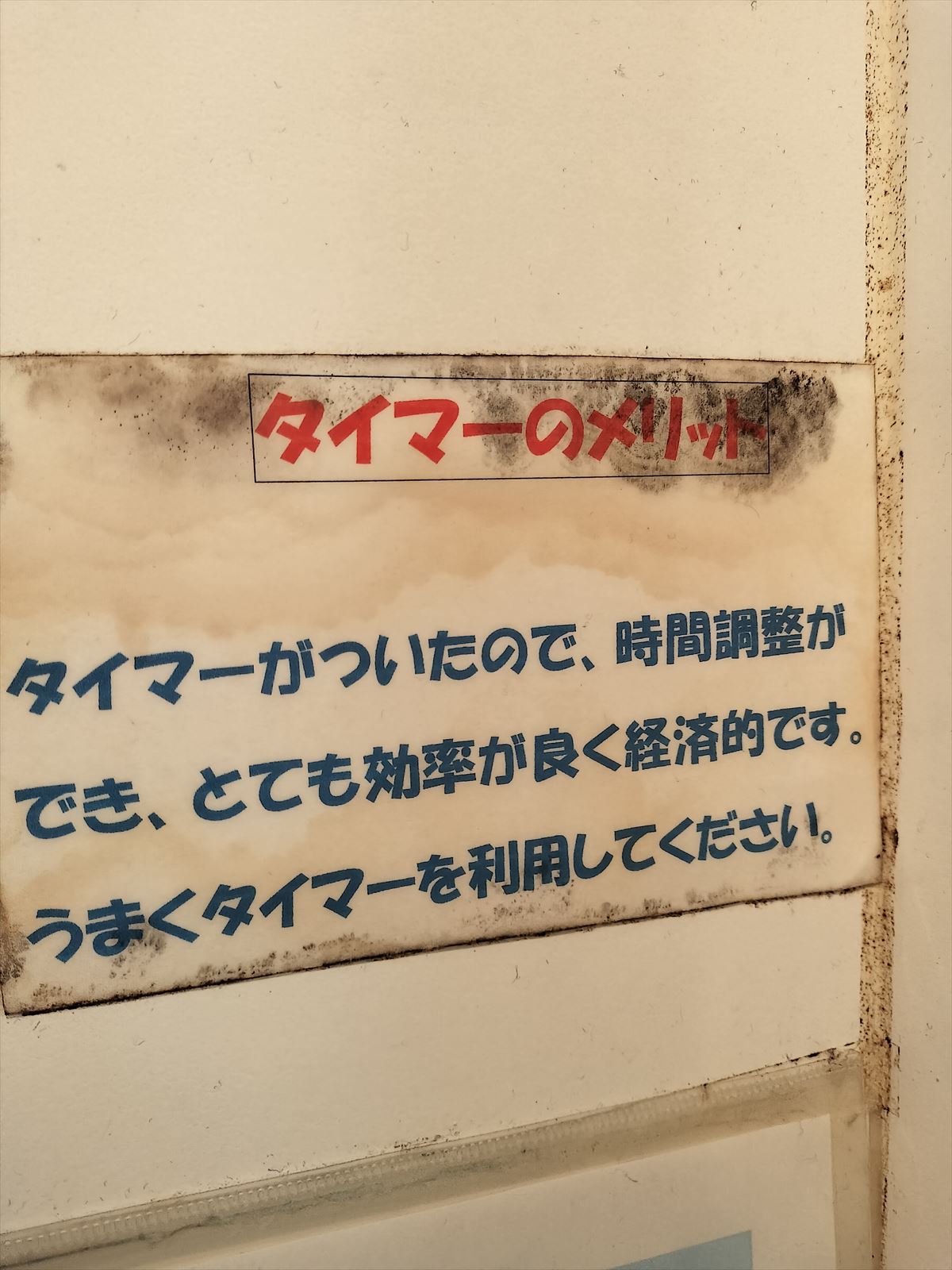 オードリーの聖地・モンキーシャワーで東京ドームチケット当選の願掛けをしてきた