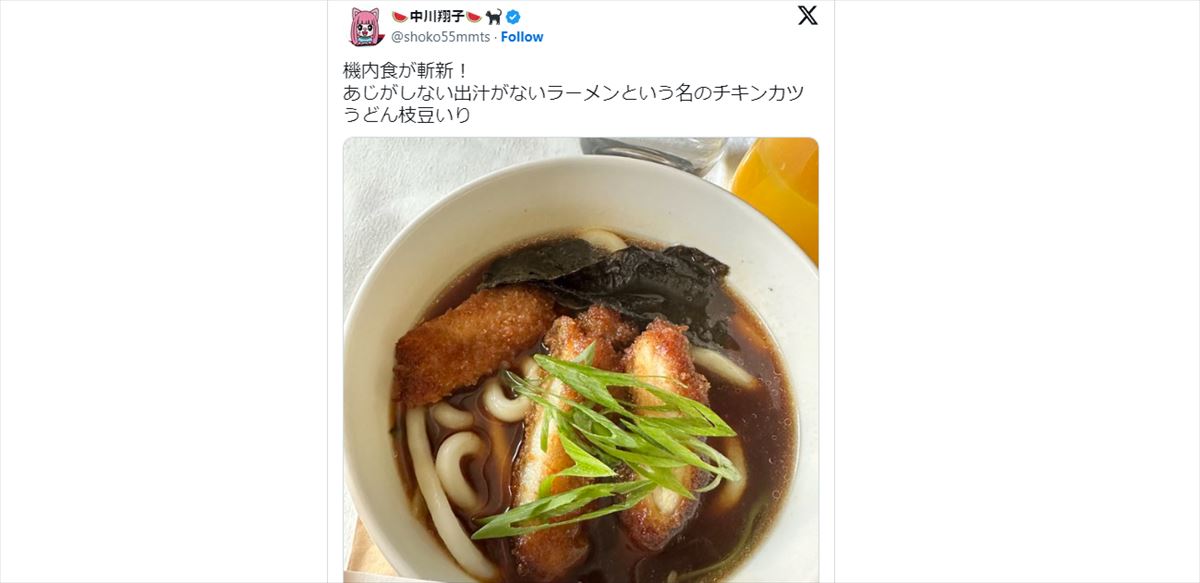 東野幸治　中川翔子の「出汁なしチキンカツうどん枝豆いり」斬新機内食ポストを語る