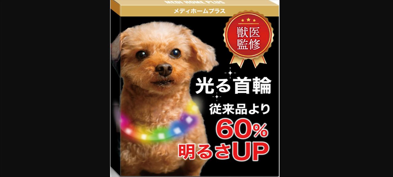 安住紳一郎　発光犬（光る犬）の魅力を語る