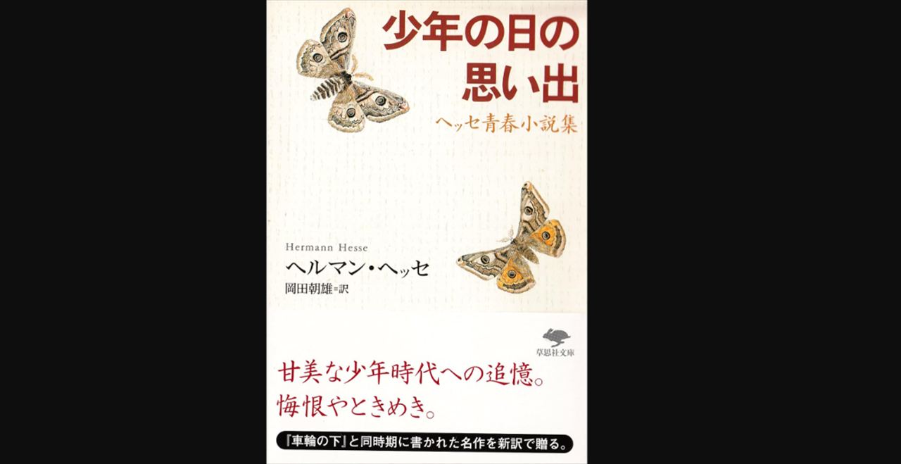 ドンデコルテ渡辺銀次　ヘルマン・ヘッセ『少年の日の思い出』の印象深い一節を語る