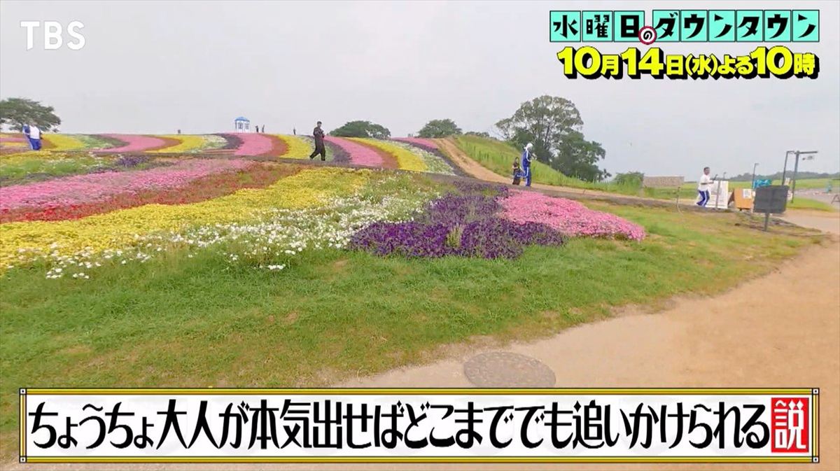 東野幸治　水ダウ「ちょうちょ、大人が本気出せばどこまででも追いかけられる説」を語る